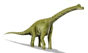 Kolekcja DINOSAURIA: Brachiosaurus, 2009